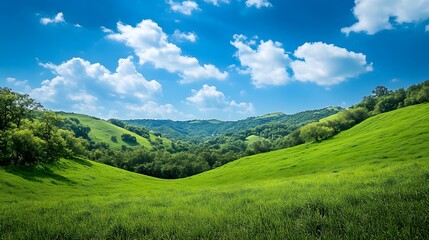 A large, open field with a blue sky and clouds. The sky is clear and bright, and the grass is lush and green. The scene is peaceful and serene
