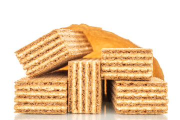 Several chocolate wafers, macro, isolated on white background.
