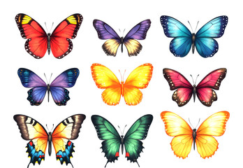 Colorful butterflies displayed together nature exhibit art collection gallery view beauty isolated on transparent background