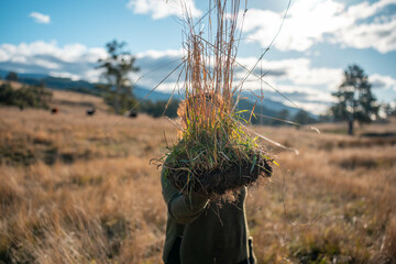 female soil scientist agronomist farmer looking at soil samples and grass in a field in spring....