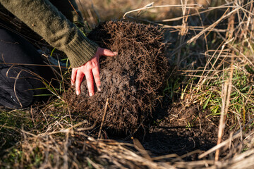 female soil scientist agronomist farmer looking at soil samples and grass in a field in spring....