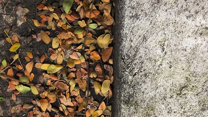 An overhead view captures a striking contrast between a vibrant collection of fallen autumn leaves, predominantly in shades of orange, yellow, and brown, and a textured concrete surface