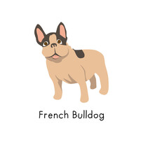 Cute cartoon french bulldog illustration