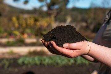 female regenerative organic farmer, taking soil samples and looking at plant growth in a farm. practicing sustainable agriculture.