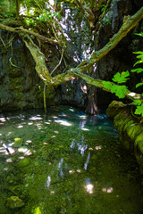 The Aphrodite's bath in Akamas peninsula in Cyprus