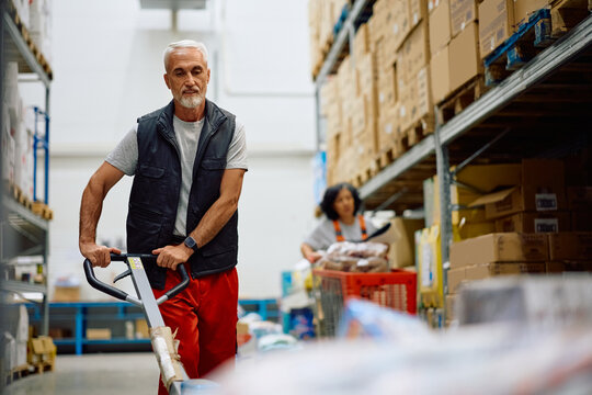 Senior warehouse worker using pallet jack distributing packages in storage compartment