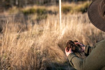 female soil scientist agronomist farmer looking at soil samples and grass in a field in spring. looking at growth of plants and soil health