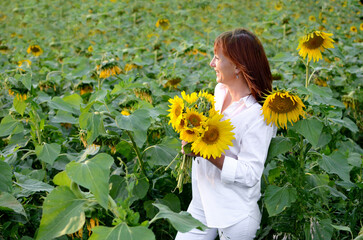 Woman harvesting sunflowers in a vibrant field during a sunny day