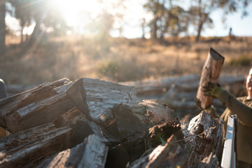 female famer Loading Firewood on a ute Preparing for Winter with Sustainable Home Heating. Hardworking Hands Gathering Wood for a Warm stacking wood pile in australia