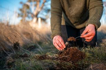 Girl studying a soil and plant sample in field. scientist in a paddock looking for fungi