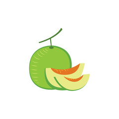 Green melon fruit with slices illustration