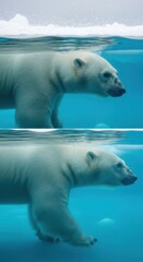 Majestic Polar Bear Underwater and Above, a Symphony of Arctic Grace