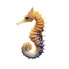 Naklejka premium An image of a beautifully detailed seahorse stands out in a bright and captivating display, showing nature's amazing creation. The image highlights the sea creature's unique form and aquatic features.