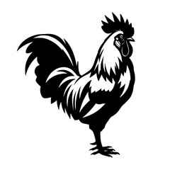 rooster vector illustration. logo.
