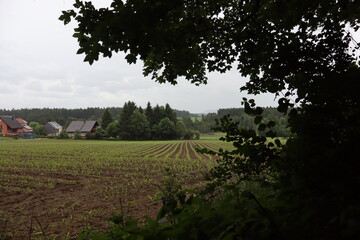 Rural Village with Crop Field and Overcast Sky Framed by Trees