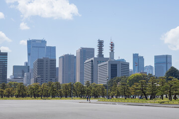 Hochhäuser vor Grünanlage