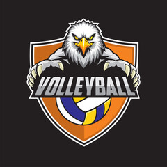 volleyball club logo eagle vector illustration design