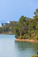 Serene Lakeside Scenery with Lush Vegetation