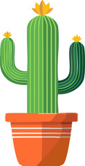 Popular Plant Elements