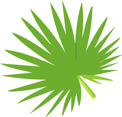 Fototapeta premium Popular Plant Elements