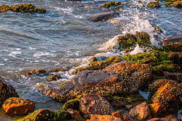 Coastal Rocks and Waves at Dawn