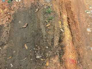 Muddy Dirt Road with Tire Tracks and Leaves