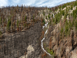 Waterfall canyon in a fresh forest burn areas