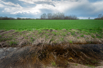 A water ditch in front of a green agricultural field and a cloudy sky
