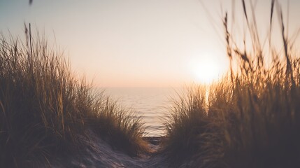 Golden hour at the dunes edge