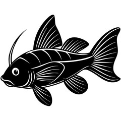 fish on a black background
