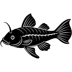 fish on a white background