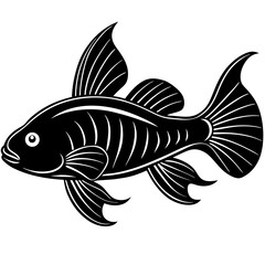 fish on a white background