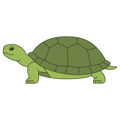 Turtle Flat Vector