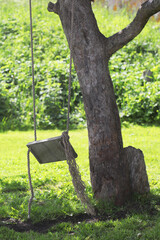 Swing