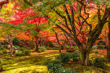 The marvelous Enko-ji Temple during fall season in Kyoto, Sakyo ward, Japan.