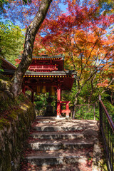 The marvelous Otagi Nenbutsu-ji Temple during fall season in Kyoto, Ukyo ward, Japan.