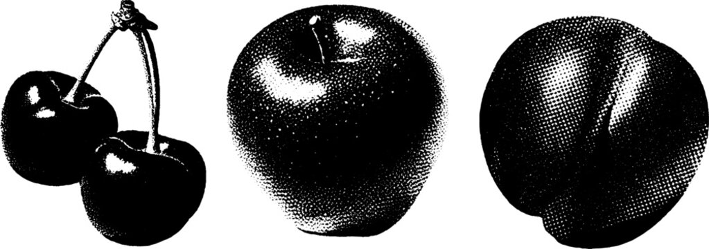 Minimalist engraving of cherry apple and peach with stippling and halftone texture for artistic design