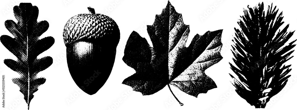 Poster minimalist nature elements with engraving and stippling texture for design projects