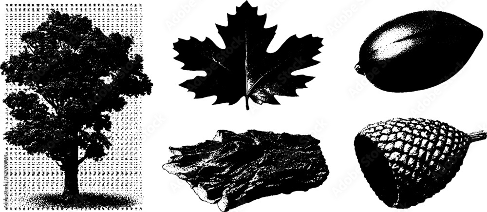 Poster minimalist nature elements with stippling and halftone engraving texture for design use