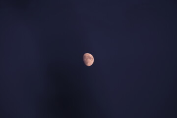 Moon