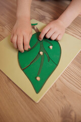 Educational activities for preschool children at home. Child's hands making a green leaf on a wooden table.