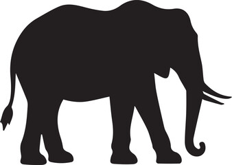 Fototapeta premium elephant isolated on white