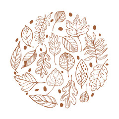 Hand-drawn autumn leaves in a circle.  Vector sketch illustration