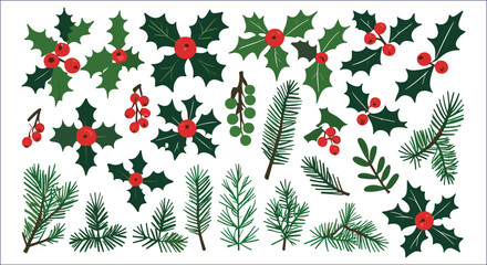 Christmas Floral Elements Holly Berries Spruce Branches Isolated On White