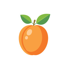 Fresh Apricot Fruit with Green Leaves Vector Illustration.