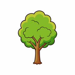tree with green leaves
