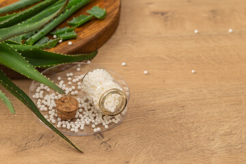 Homeopathic treatment - Homeopathic balls poured from a glass bottle into a petri dish on the background of an aloe vera flower. The concept of using natural plants in homeopathy and medicine