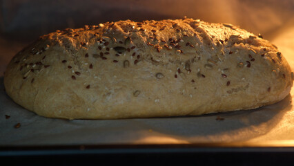 Closeup of freshly rising multigrain bread in a hot oven, topped with seeds and glowing with warm, golden light.