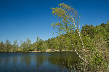 quiet lake in germany on a sunny spring day