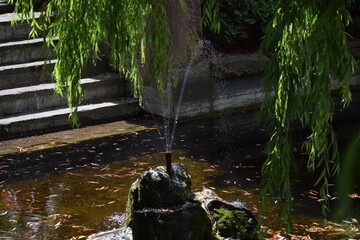 beautiful view of the park © MARIA – Nature